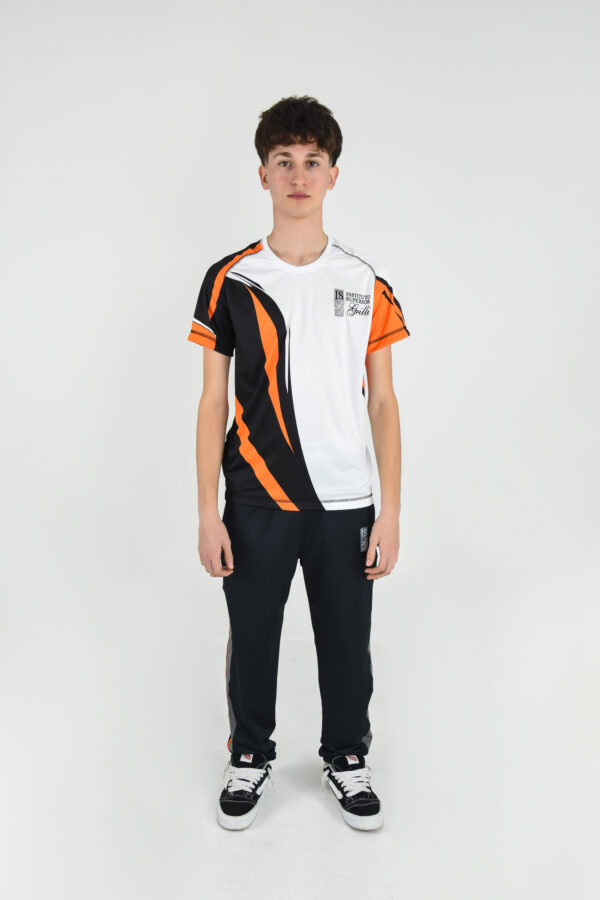 Instituto Superior Grilli - Remera
